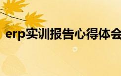 erp实训报告心得体会3000字 ERP实训报告