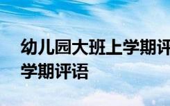 幼儿园大班上学期评语100条 幼儿园大班上学期评语