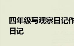 四年级写观察日记作文400字 四年级写观察日记