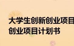 大学生创新创业项目计划书格式 大学生创新创业项目计划书