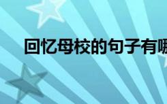 回忆母校的句子有哪些 回忆母校的句子