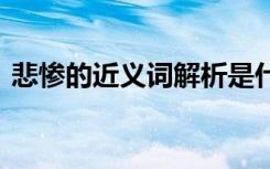 悲惨的近义词解析是什么 悲惨的近义词解析
