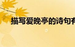 描写爱晚亭的诗句有 描写爱晚亭的诗句