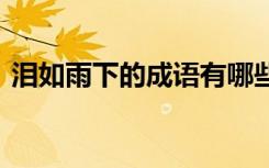 泪如雨下的成语有哪些 泪如雨下的成语解释