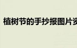 植树节的手抄报图片资料 植树节的手抄报图