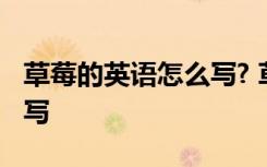 草莓的英语怎么写? 草莓的英语怎么写写怎么写