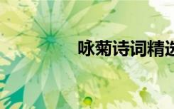 咏菊诗词精选 咏菊的诗词