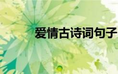 爱情古诗词句子 爱情古诗词名句