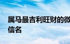 属马最吉利旺财的微信名字 最吉利旺财的微信名