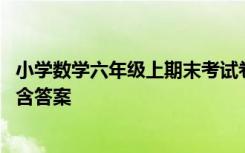 小学数学六年级上期末考试卷 小学六年级数学上册期末试卷含答案
