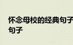怀念母校的经典句子有哪些 怀念母校的经典句子