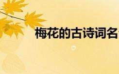 梅花的古诗词名句 梅花的古诗词