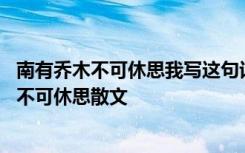 南有乔木不可休思我写这句话的时候最想的就是你 南有乔木不可休思散文