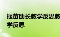 揠苗助长教学反思教学后记 《揠苗助长》教学反思