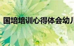国培培训心得体会幼儿园 国培培训心得体会
