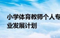 小学体育教师个人专业发展计划 教师个人专业发展计划