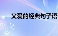 父爱的经典句子语录 父爱的经典句子