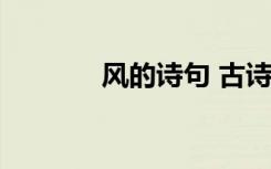 风的诗句 古诗 风的经典古诗