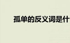 孤单的反义词是什么词 孤单的反义词