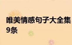 唯美情感句子大全集 简短的唯美的情感句子89条