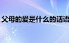 父母的爱是什么的话语 父母的爱是什么-作文