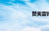 赞美雷锋的诗歌