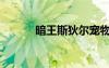 暗王斯狄尔宠物（暗王斯狄尔）