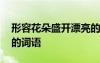 形容花朵盛开漂亮的句子唯美 形容花儿美丽的词语