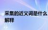 采集的近义词是什么 标准答案 采集近义词及解释