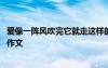 爱像一阵风吹完它就走这样的节奏谁都无可奈何 爱像一阵风作文