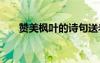 赞美枫叶的诗句送老师 赞美枫叶的诗