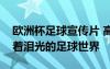 欧洲杯足球宣传片 高考素材：“欧洲杯”闪着泪光的足球世界