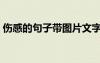 伤感的句子带图片文字 伤感的句子带图片(2)