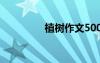 植树作文500字 植树作文
