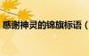 感谢神灵的锦旗标语（送神仙锦旗用语大全）