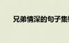 兄弟情深的句子集锦 兄弟情深的句子