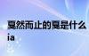 戛然而止的戛是什么 戛然而止的戛读ga还是jia