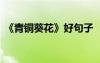 《青铜葵花》好句子 《青铜葵花》好句摘抄