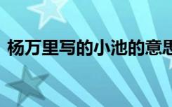 杨万里写的小池的意思 杨万里《小池》诗意