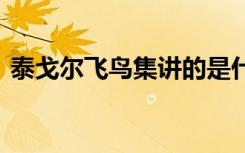 泰戈尔飞鸟集讲的是什么内容 泰戈尔飞鸟集