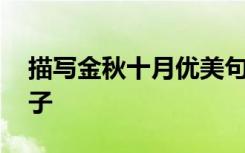描写金秋十月优美句子 描写金秋十月的好句子