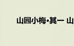 山园小梅·其一 山园小梅翻译及赏析