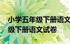 小学五年级下册语文试卷第八单元 小学五年级下册语文试卷
