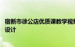 宿新市徐公店优质课教学视频 《宿新市徐公店》公开课教学设计