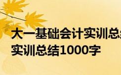 大一基础会计实训总结1500字 大一基础会计实训总结1000字