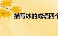 描写冰的成语四个字 描写冰的成语