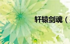 轩辕剑魂（dnf轩辕剑）