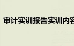 审计实训报告实训内容与步骤 审计实训报告