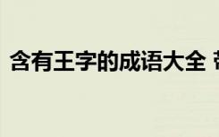 含有王字的成语大全 带有王字的成语有哪些