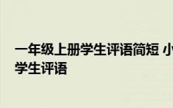 一年级上册学生评语简短 小学一年级学生上册学生评语-小学生评语